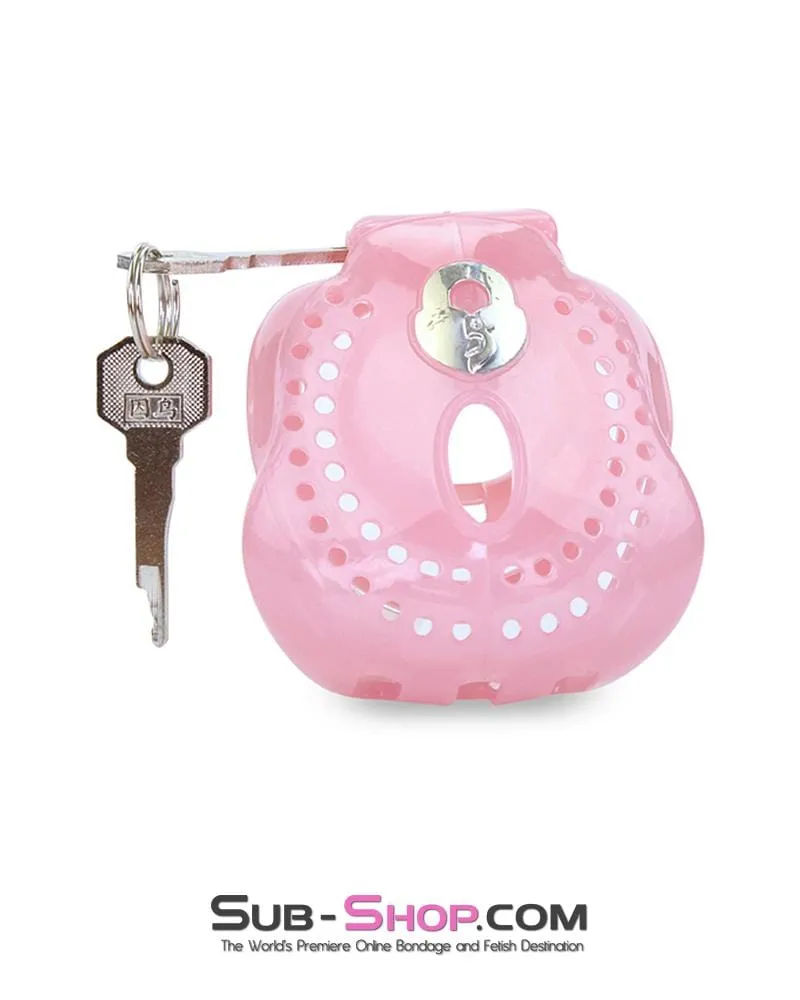 1587AR      Small Sissy Dungeon Cage Pink High Security Full Coverage Male Chastity Device - MEGA Deal