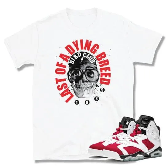 Carmine 6 Retro 6 sneaker shirt