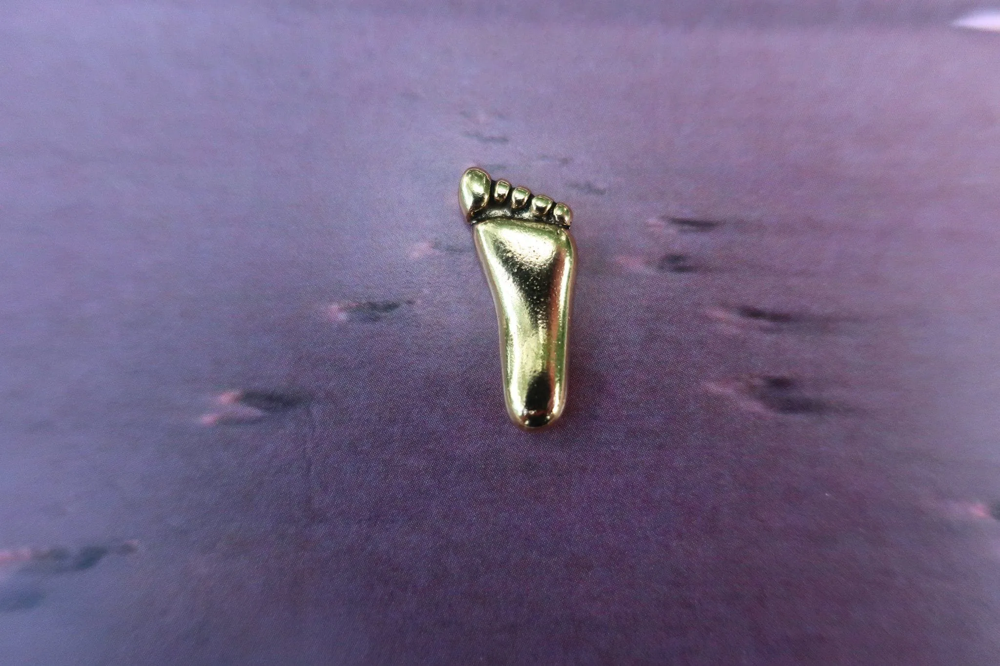 Foot Gold Lapel Pin